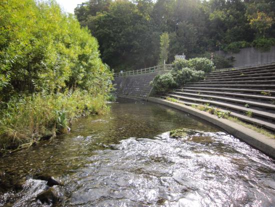 Pereke River Shore Park