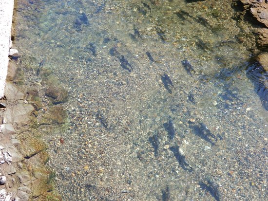 Onnebetsu River