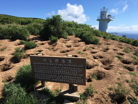 Teuri Island