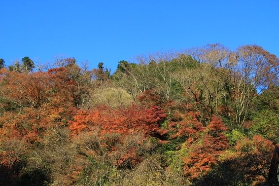 Yoro Valley