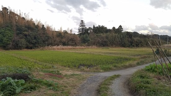 Brown's Field