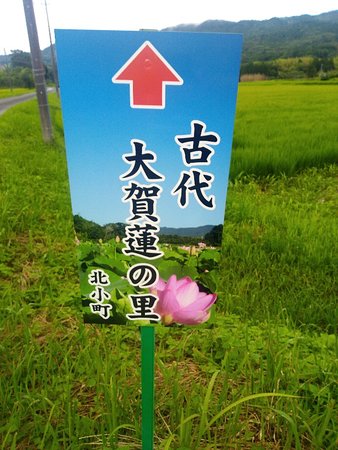 Oga Hasu no Sato