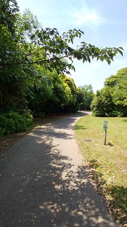 Outdoor Pictures 1