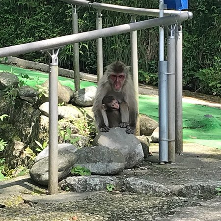 Takagoyama Nature Zoo