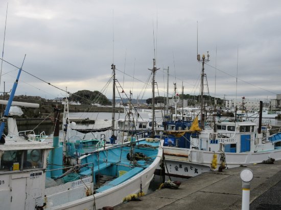 Tokawa Fishing Port