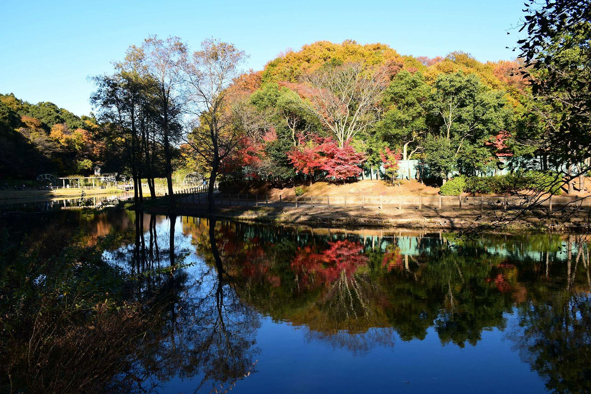 Omachi Park