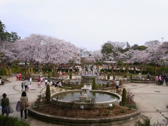 Satomi Park