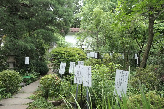 Outdoor Pictures 1