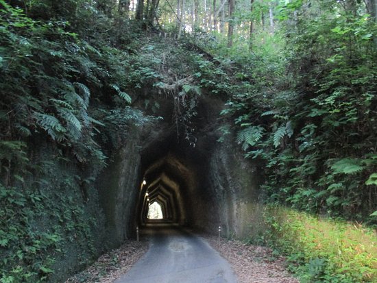 Kakinokidai Tunnel