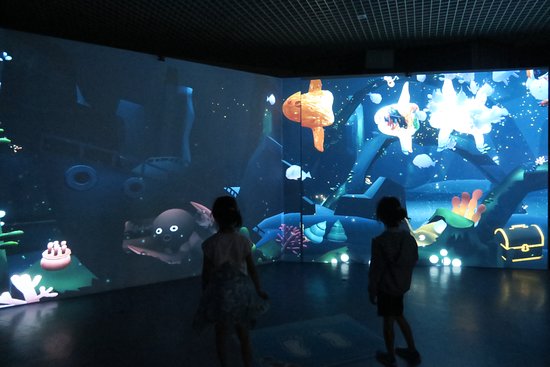 Aquarium of Anemonefish