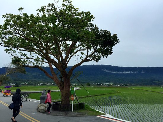 Taitung Brown's Road