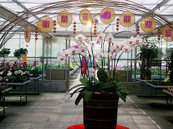 Jinche Jiaoxi Lanhua Yuan