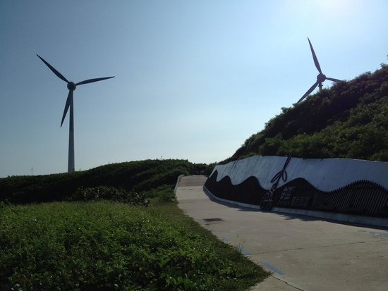 Wind Power Plant