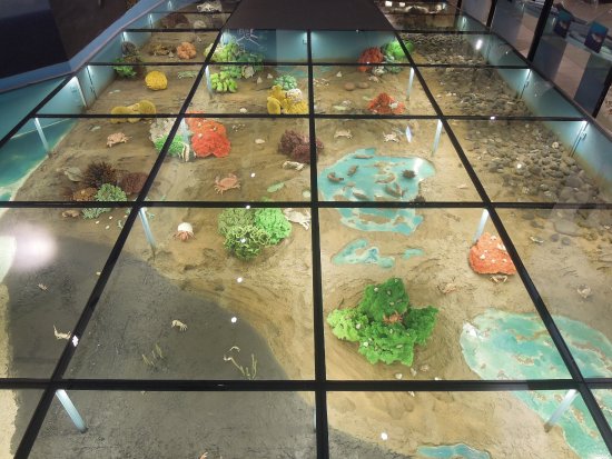 Ocean Resource Hall