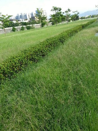 Dahan Riverside Park