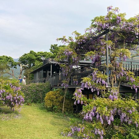Zihteng Coffee Farm