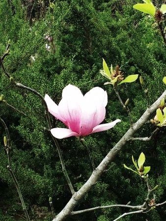 Fongshu Lake Trail