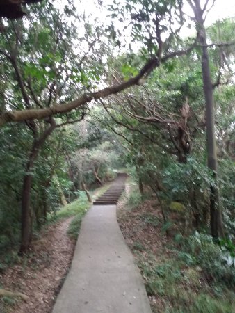 Citou Trail
