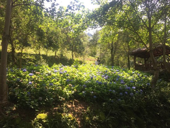 Spring Mountain Leisure Farm
