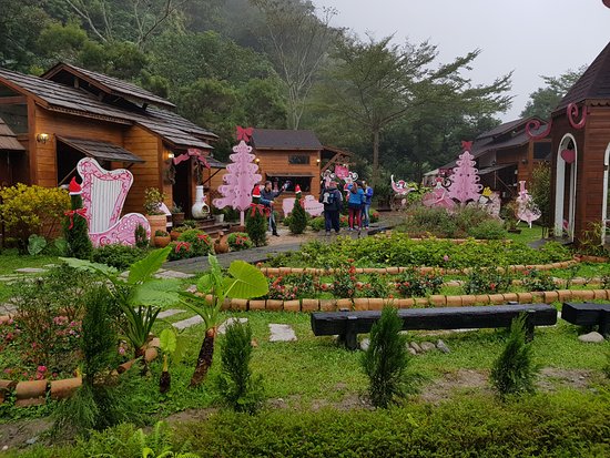 Annie's Garden