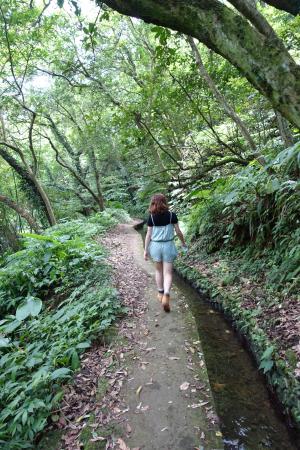 Ping Ding Gu Zun Hiking Trail
