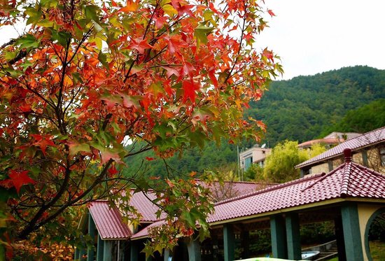 Wuling Forest Recreation Area