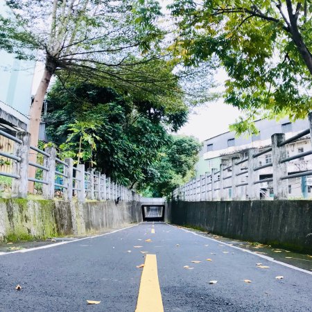 Tanyashen Cycleway
