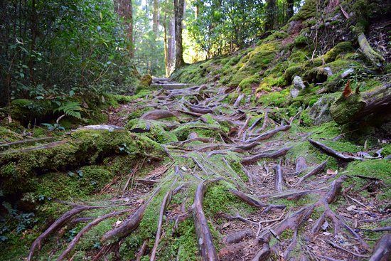 Dasyushan Forest Recreation Area