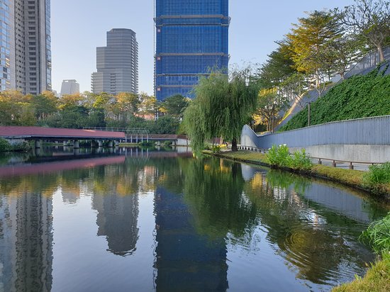 Maple Garden