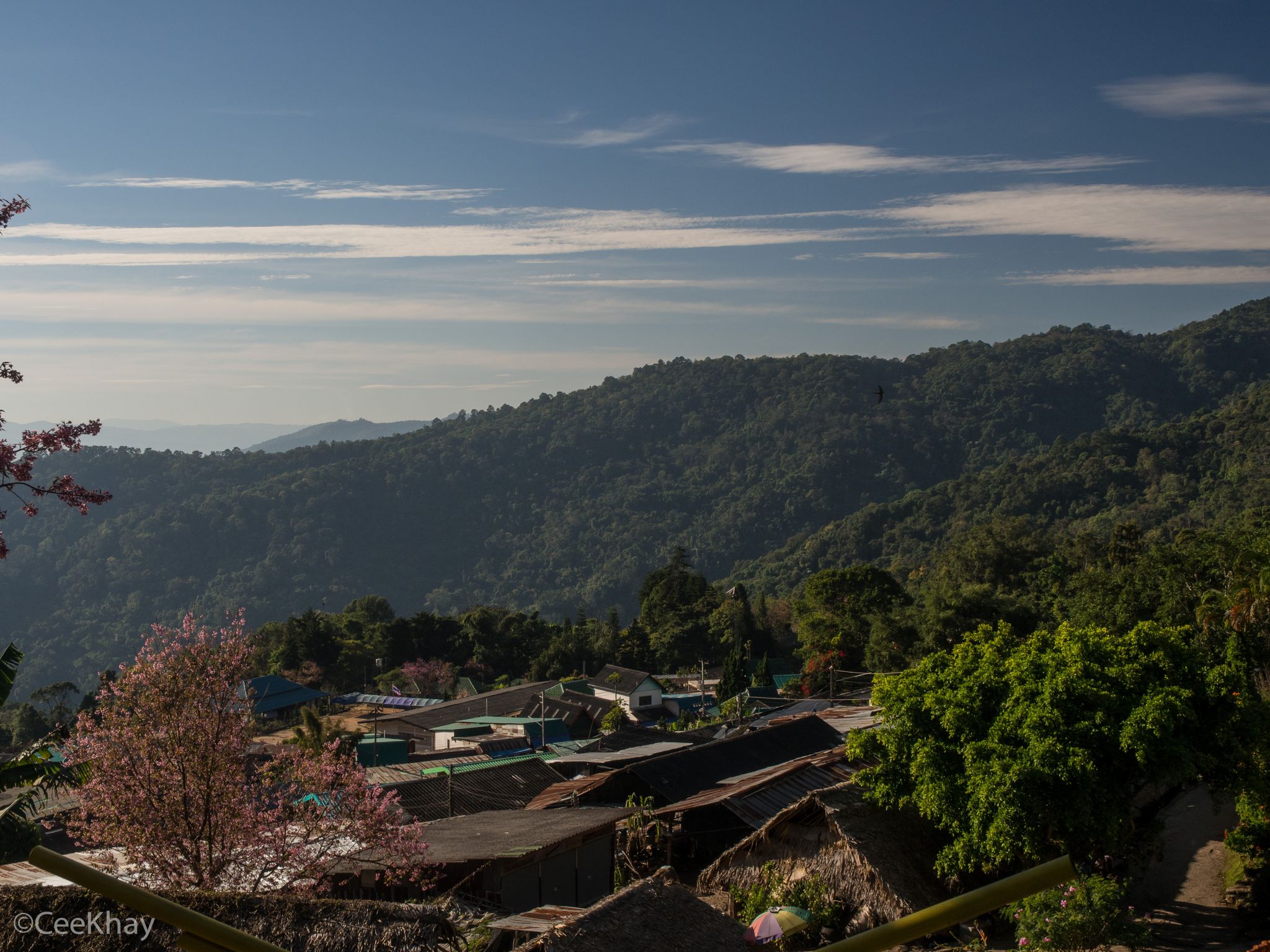 Doi Suthep-Pui National Park