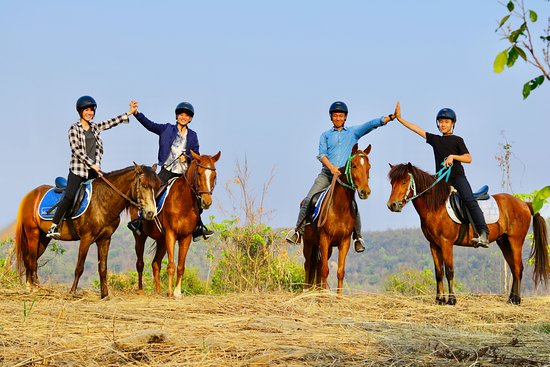 Pong Horse Park