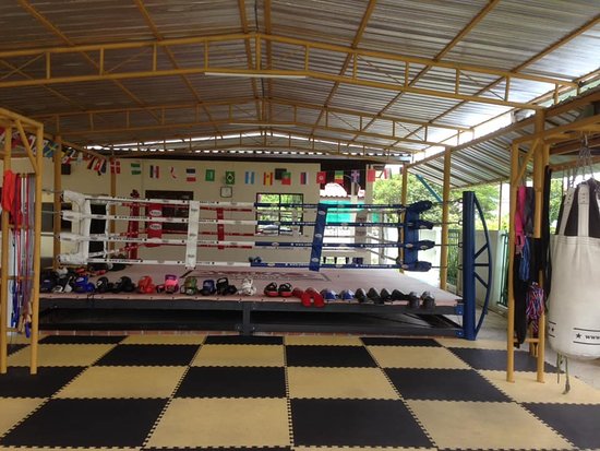 Manop Gym