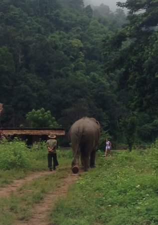 Mayrin Elephant Family Camp