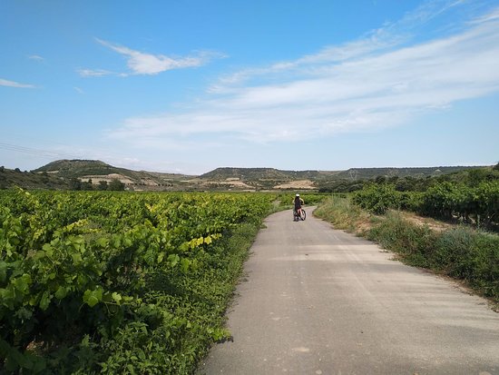 Rioja Rentabike