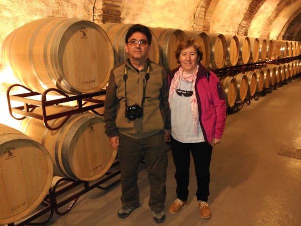 Bodegas Vinicola Real