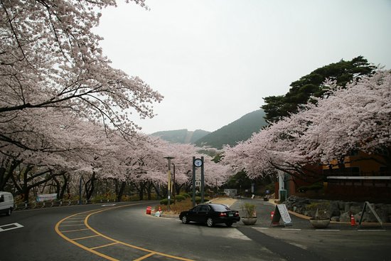 Jangboksan