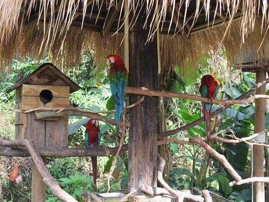 Green World Ecological Farm