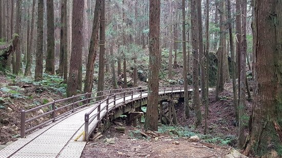 Tefuye Trail