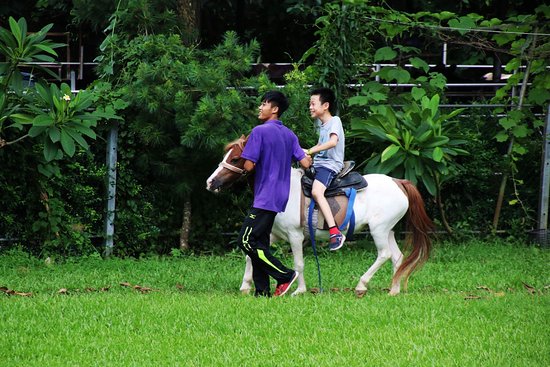 Dujiaosian Farm