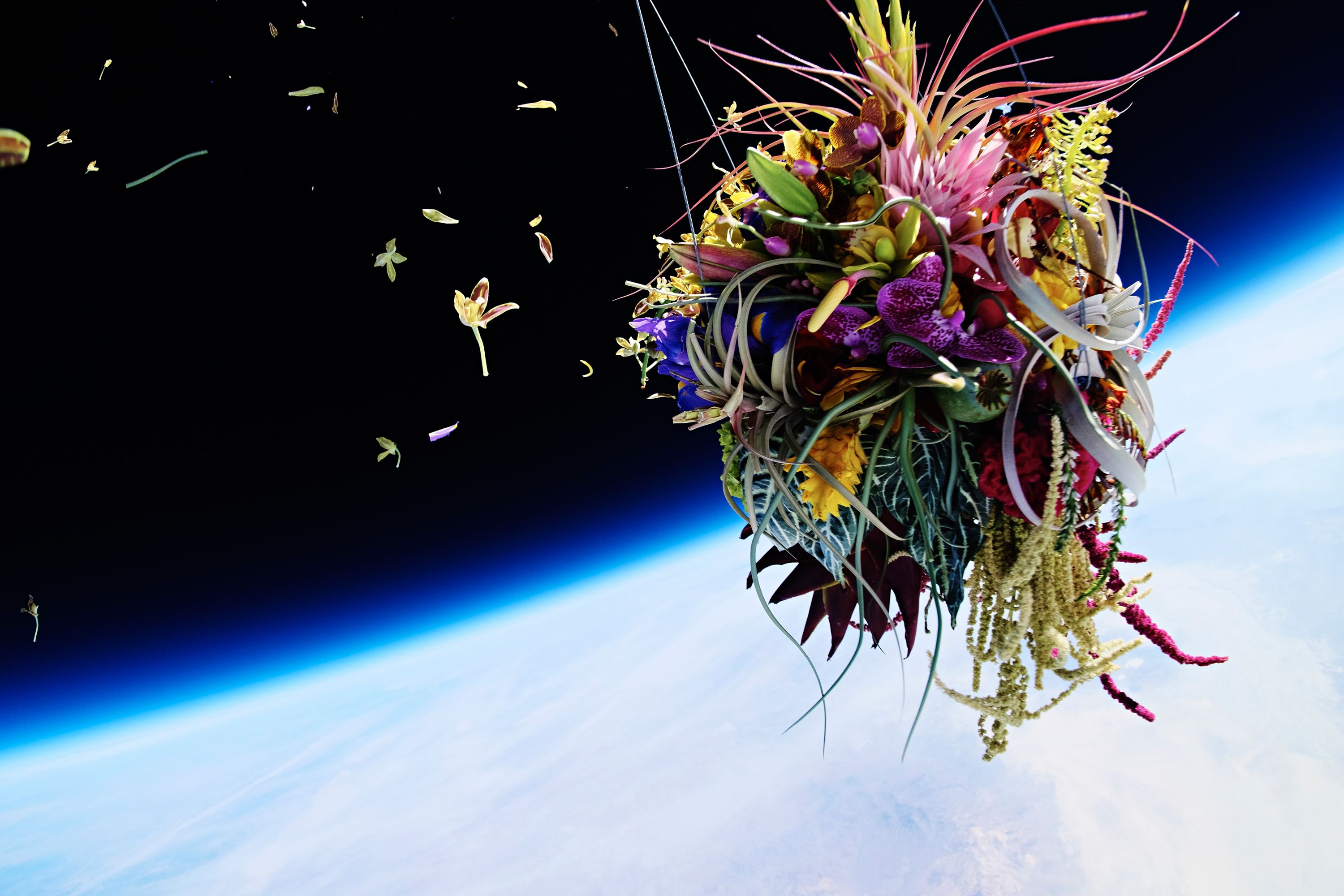 Flower Space