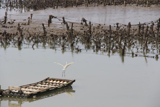 Siangshan Wetland