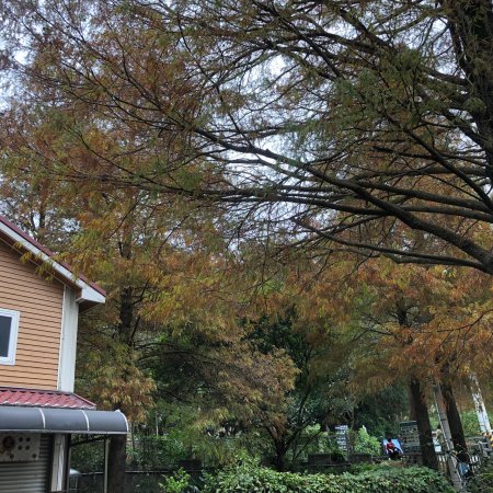 Jingu Leisure Farm