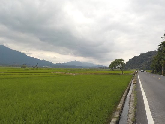 Zhuofu Road