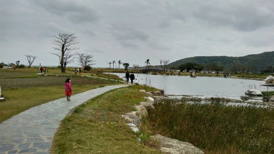 Tai Kai Xin Farm