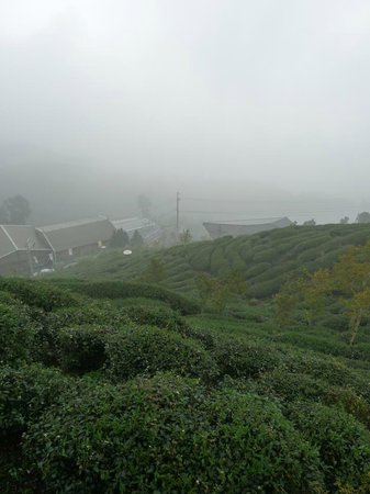 Lugu Tea Culture Center