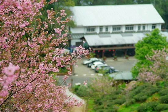 Outdoor Pictures 1