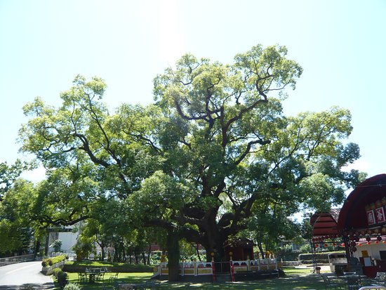 Dazhongye Temple