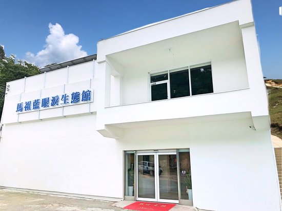 Blue Tear Museum
