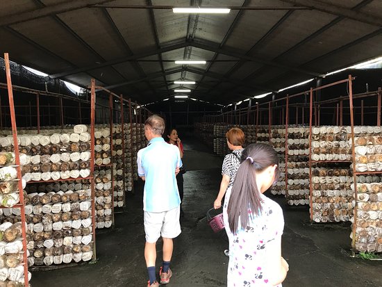 Rich Year Farm