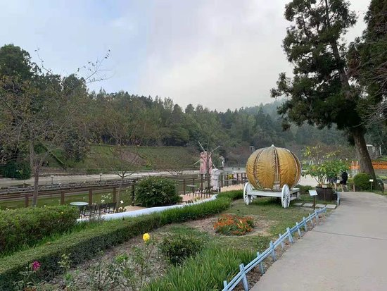 Outdoor Pictures 1